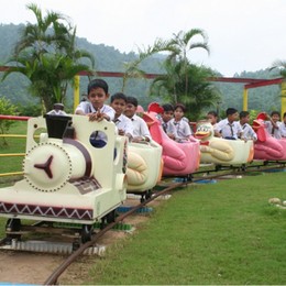 Amusement Rides for kids