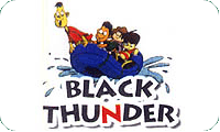 Black Thunder Theme Park (P) Ltd.